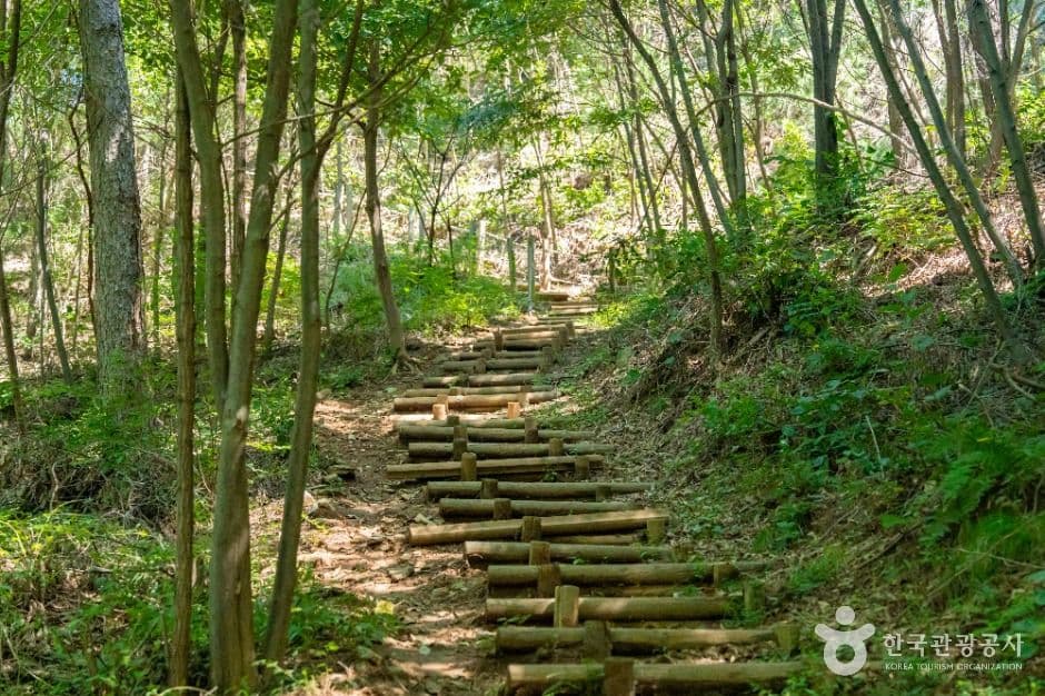 석포숲공원 사진 3