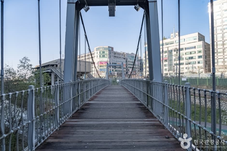 용인 구갈레스피아 사진 2