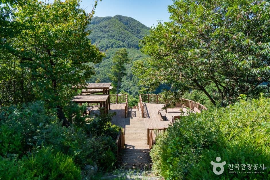 석포숲공원 사진 8