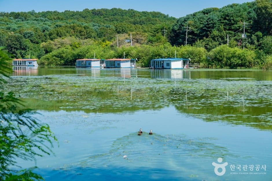 용담저수지 사진 7