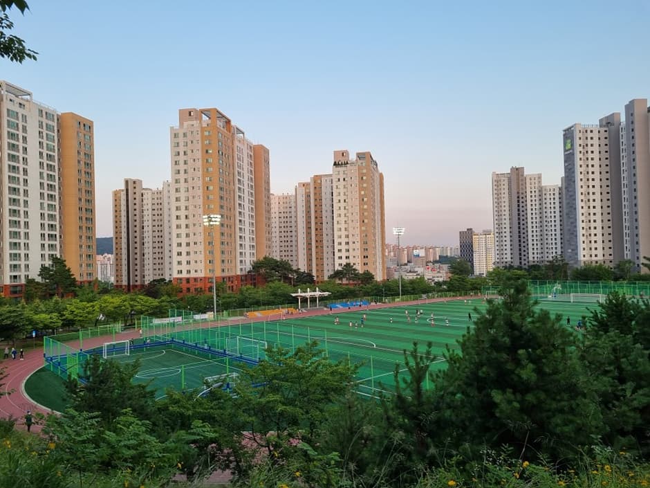 수지체육공원 사진