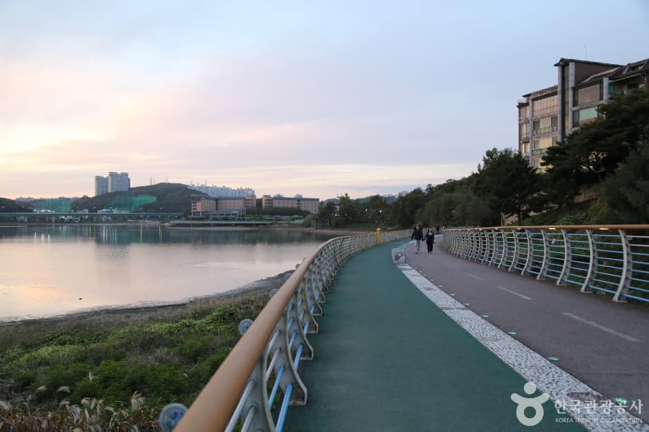 기흥호수공원 사진 10