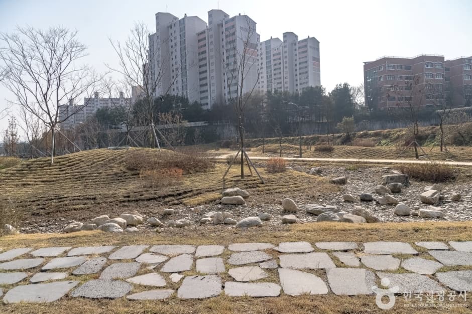 수풀로 영문리 사진 4