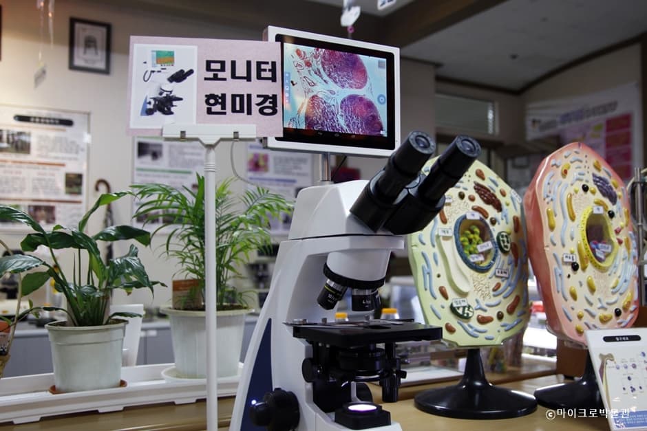 마이크로박물관 사진 4