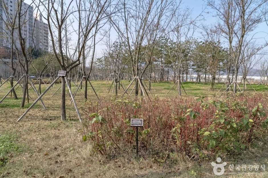 수풀로 영문리 사진 8