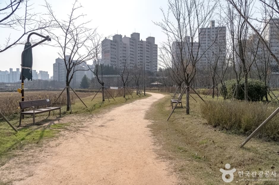 수풀로 영문리 사진 9