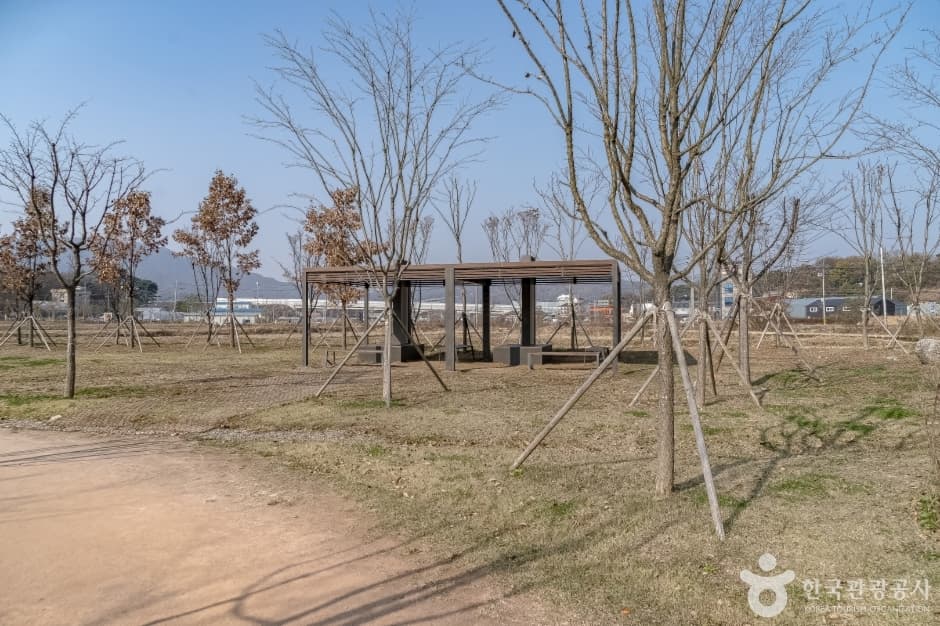 수풀로 영문리 사진 10