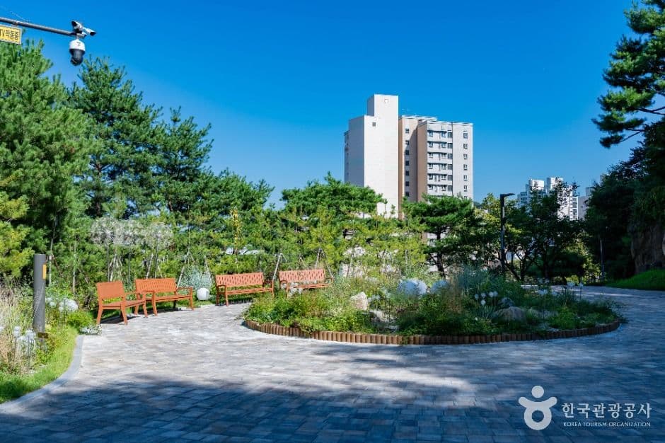 용인중앙공원 사진 2