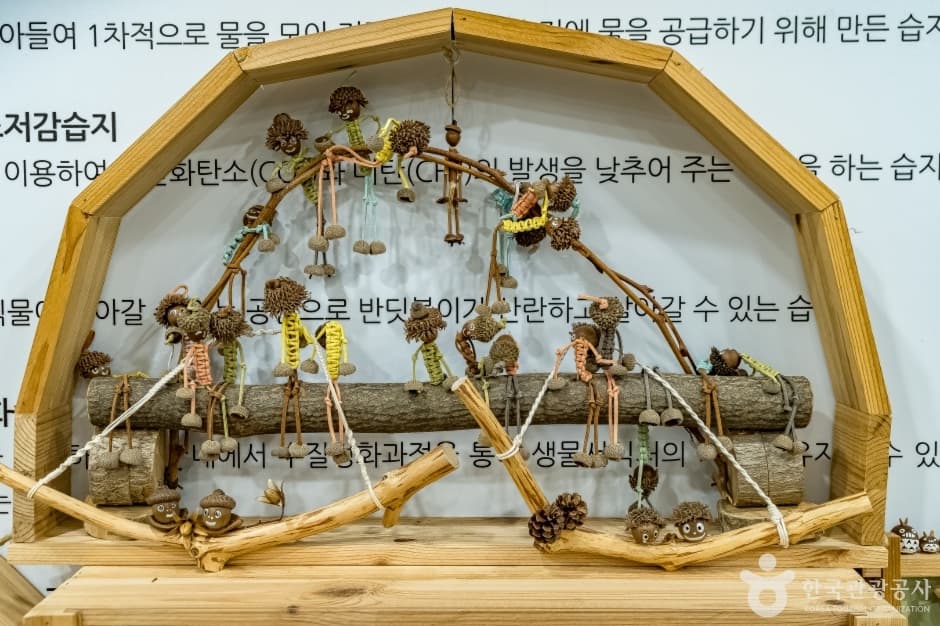 맹산환경생태학습원 사진 3