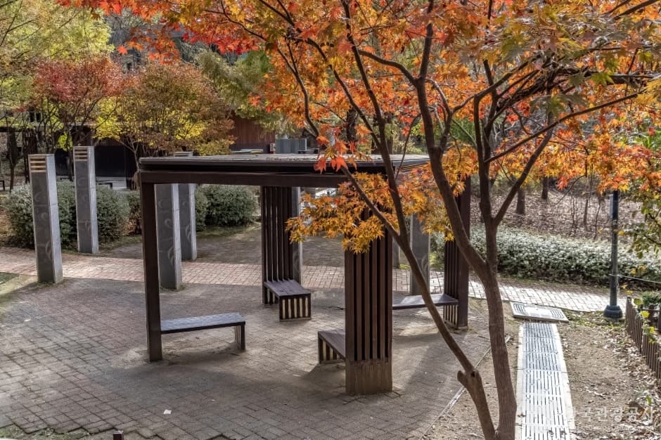 판교공원 사진 2