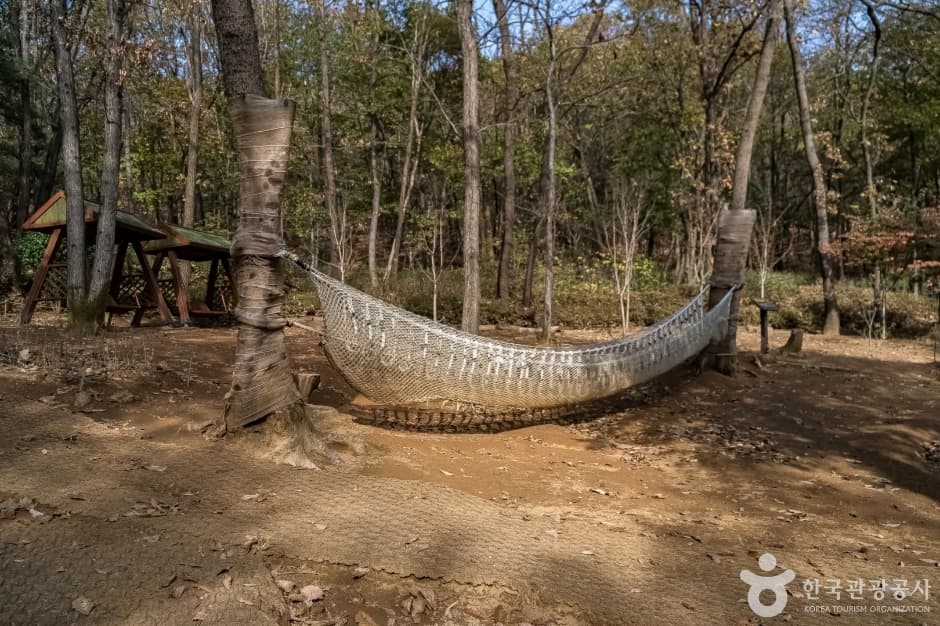 판교공원 사진 4