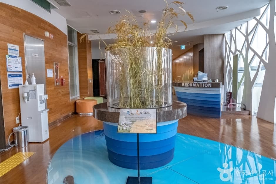 용인농촌테마파크 농경문화전시관 사진 3