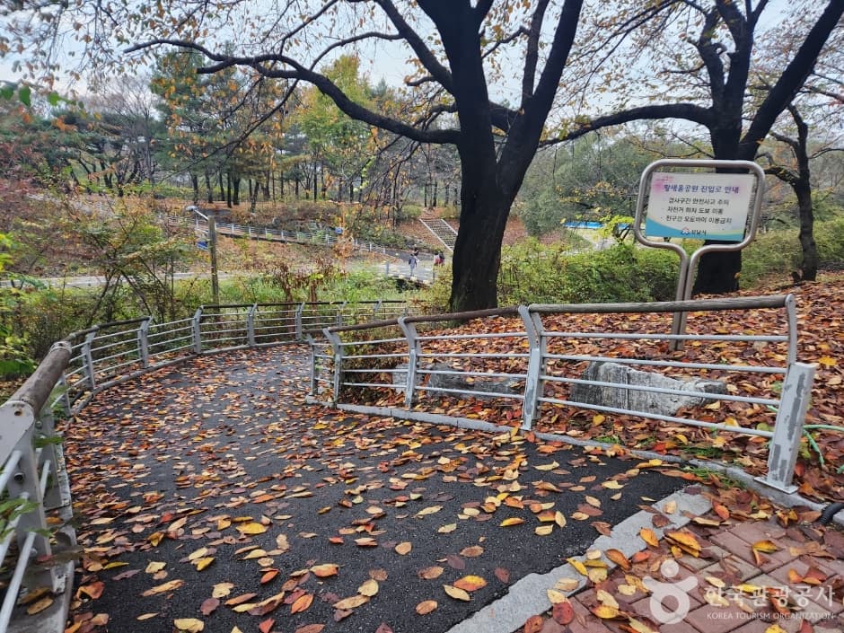 황새울공원 사진 9