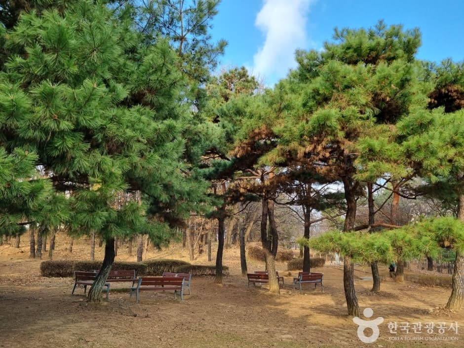 수지체육공원 사진 8